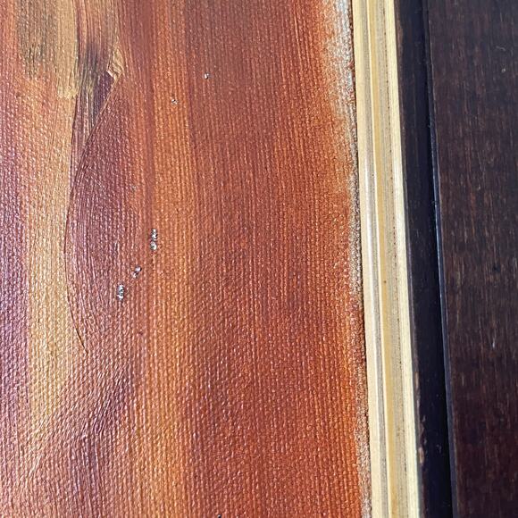 Vintage Original Framed Portrait Man African Warrior - Picture 9 of 12